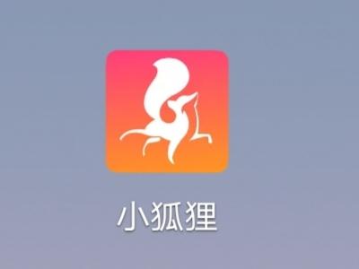 狐狸直播app安卓版