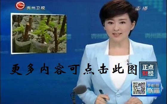 贵州电视6频道回放节目